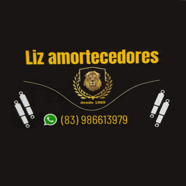 LIZ AMORTECEDORES