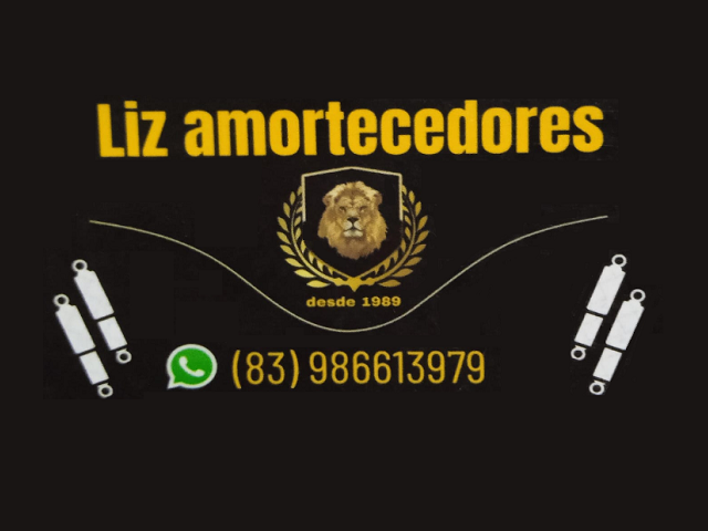 LIZ AMORTECEDORES