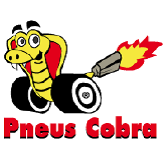 PNEUS COBRA