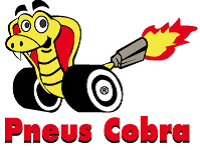 PNEUS COBRA